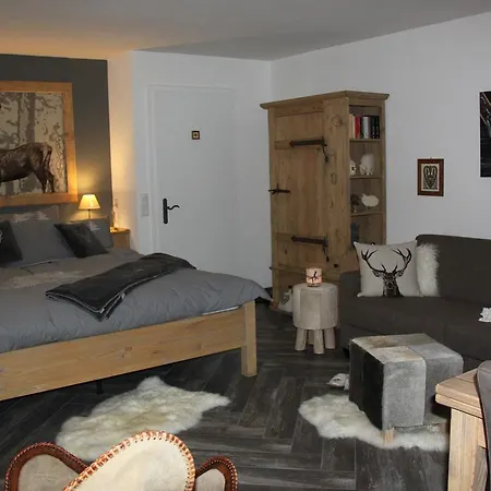 Apartmán Au Chalet Suisse *