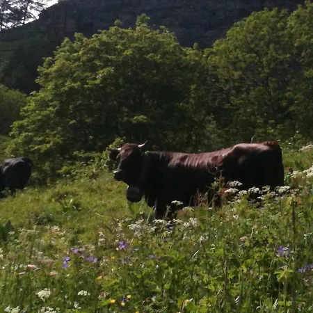公寓 Au Chalet Suisse *